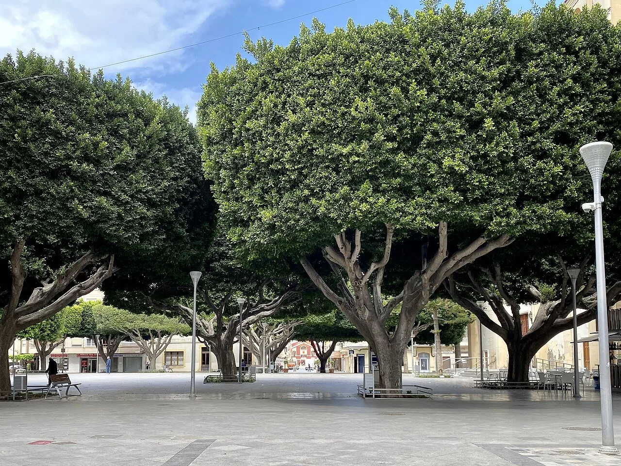 Plaza de la Constitución