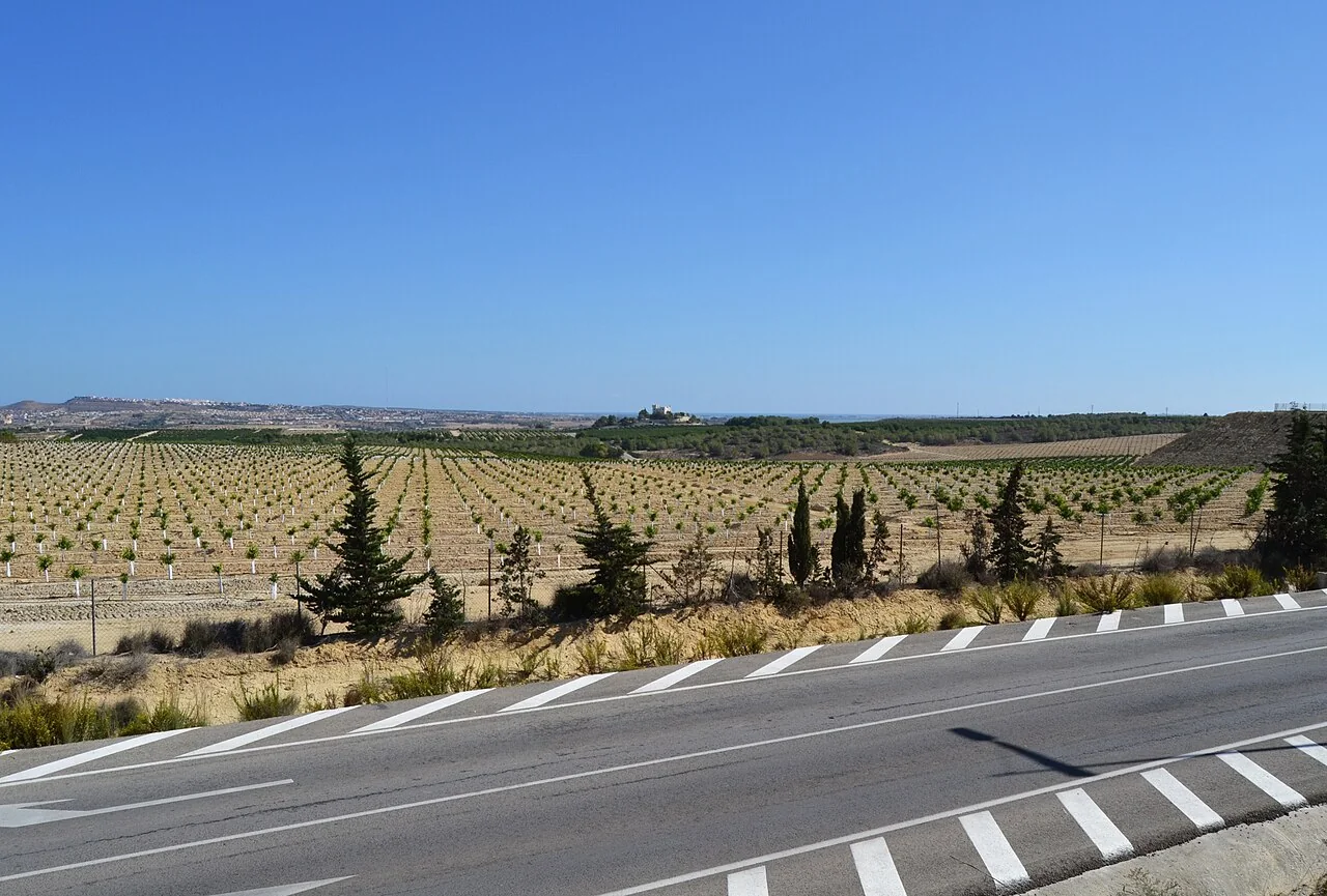Vista llunyana del castell de Montemar, Algorfa