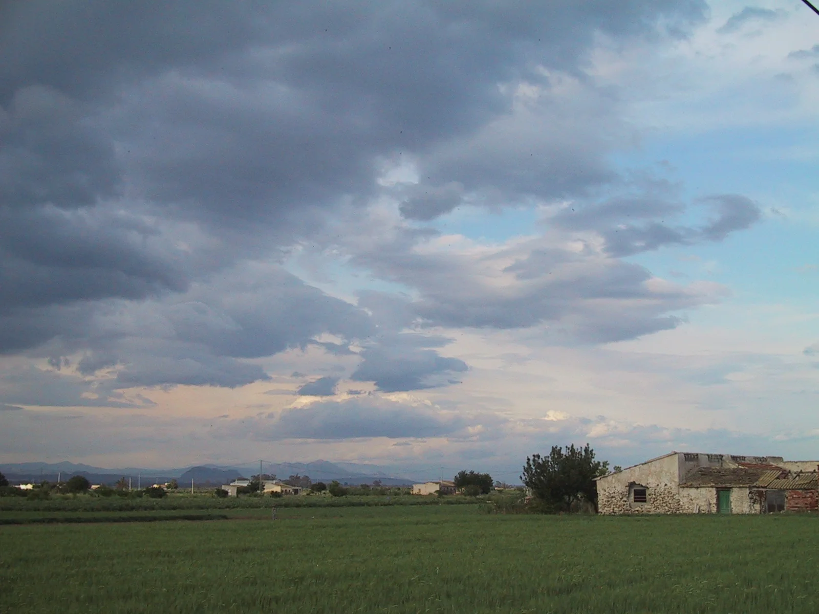 Huerta de Dolores